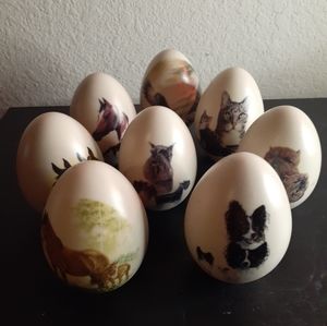EXQUISITE EGGZAKLY Handcrafted Porcelain 3" Egg Collectibles Lot of 8.